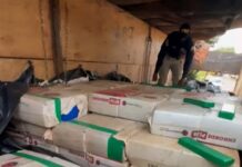 PRF apreende 1,8 tonelada de maconha em carreta estacionada em posto de combustíveis