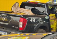 Dupla é presa pela PRF em Dourados com caminhonete abarrotada de maconha