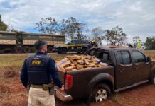 Traficante tenta fugir da PRF, capota veículo com mais de 700 quilos de maconha e é preso