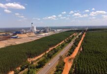 Rota da Celulose: Governo de MS convoca segundo colocado em leilão de concessão