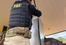 Móveis e eletrodomésticos levavam maconha