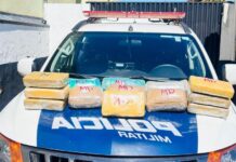 Polícia apreende mais de 13 quilos de maconha em veículo de aplicativo