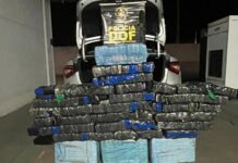 Homem é preso em MS com mais de 200 quilos de droga que seguiam para o Paraná