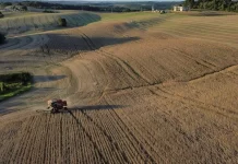 Brasil registra safra recorde de 350 milhões de toneladas