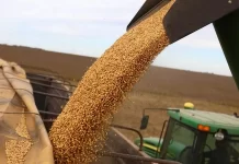 Cade mantém medida preventiva sobre moratória da soja com vigência a partir de 2026