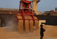 China amplia compras de soja brasileira e reduz dependência dos Estados Unidos