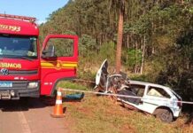 Carro com contrabando bate contra coqueiro e deixa uma pessoa morta e outra ferida na MS-275