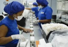 Funtrab disponibiliza mais de 4 mil vagas de emprego em Mato Grosso do Sul