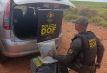 DOF apreende drogas escondidas em forno elétrico e detém dois suspeitos na MS-164
