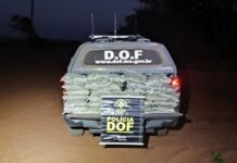 Traficante foge do DOF e abandona motocicleta com quase R$ 200 mil em drogas