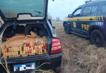 PRF apreende mais de meia tonelada de maconha após perseguição na BR-267