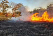 Governo de MS prorroga emergência ambiental até novembro devido a risco extremo de incêndios