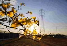 Tempo seco coloca cidades de MS em emergência com baixa umidade do ar