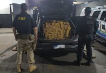 Ação conjunta apreende 1,3 tonelada de maconha em MS