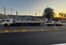 Polícia de SP apreende quase 8t de maconha que saiu de MS