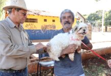 Prefeitura leva vacina antirrábica para animais sob cuidados em Ong’s e de protetores