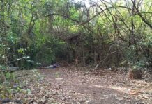 Jovem é encontrado morto com sinais de execução no Santa Felicidade