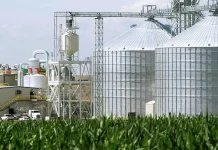Etanol de milho cresce no Brasil após tarifaço de Trump