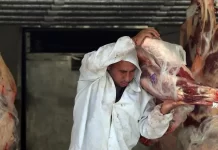 Brasil abre nove novos mercados para o agronegócio