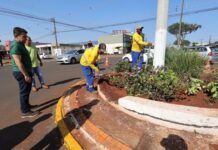 Prefeitura recupera floreiras nos canteiros centrais e valoriza espaço urbano da cidade