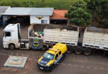 PMR apreende mais de 20 toneladas de maconha escondidas em carga de milho