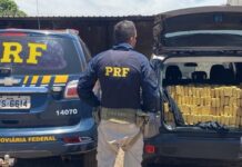 Traficante com mais de meia tonelada de maconha em veículo furtado é preso pela PRF