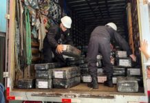 Polícia Federal incinera quatro toneladas de drogas em Mato Grosso do Sul