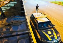 PRF apreende 9 toneladas de agrotóxicos e prende motorista de caminhão