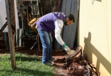 Prefeitura alerta para aumento de casos e dengue e intensifica ações preventivas