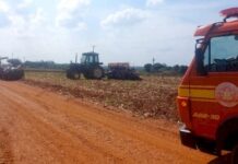 Idoso morre ao ser atacado por abelhas enquanto plantava soja