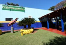 Prefeitura vai pagar quase R$ 1,2 milhão em emendas impositivas para a Educação