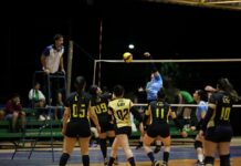 Jogos Abertos de Dourados definem campeões do vôlei nesta quarta-feira