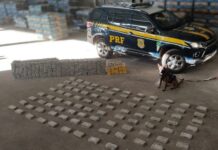 PRF apreende R$ 25 milhões em cocaína escondida sob carga de cimento