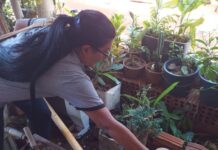 Prefeitura de Dourados registra queda de 41% nas notificações de dengue em 2025