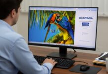 Em MS, contribuintes já podem emitir boleto do IPVA 2026 pelo Portal E-Fazenda