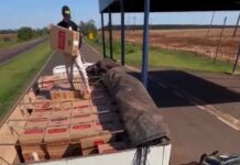 Caminhão com mais de 400 mil maços de cigarros é apreendido pela PRF