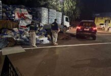 Motorista é preso com quase 3t de maconha escondidas em carga de fécula de mandioca