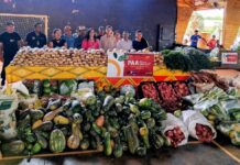 Prefeitura distribui 19 toneladas de alimentos e reforça segurança alimentar nas aldeias