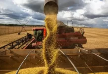 Pedidos de recuperação judicial no agro sobem 147% e atingem maior nível desde 2021