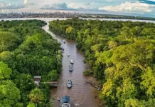 Governo aprova Plano Clima, base da política ambiental no país