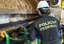 Mais de 15 toneladas de drogas são incineradas em Campo Grande e Três Lagoas