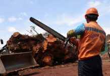 Prefeitura otimiza Defesa Civil e realiza mais de 600 atendimentos no primeiro ano de governo