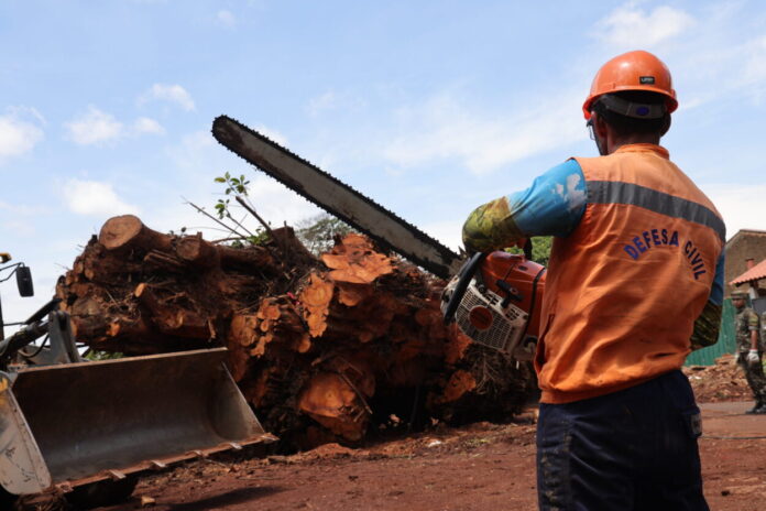 FROT3609-scaled-e1765808161710