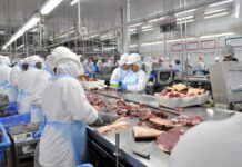 Indústria de MS lidera geração de empregos em 2025 com mais de 14 mil novas vagas até outubro