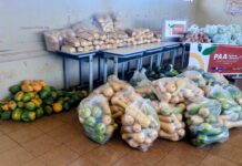 Prefeitura conclui 2 dias de ação com 3,9 toneladas de alimentos distribuídos nas aldeias