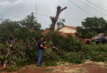 Prefeitura e Defesa Civil atuam para reduzir impactos do temporal em Dourados