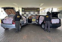 Dois veículos com mais de R$ 250 mil em cigarros são apreendidos pelo DOF