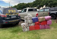 Motorista é preso transportando 388 quilos de drogas em caminhonete