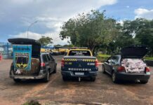 Cargas de cigarros contrabandeados são apreendidas em barreira policial