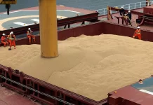 Agronegócio garante segundo maior superávit da história em 2025